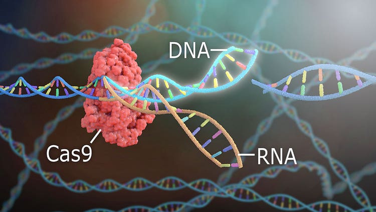 Comparison Gene Editing Tools