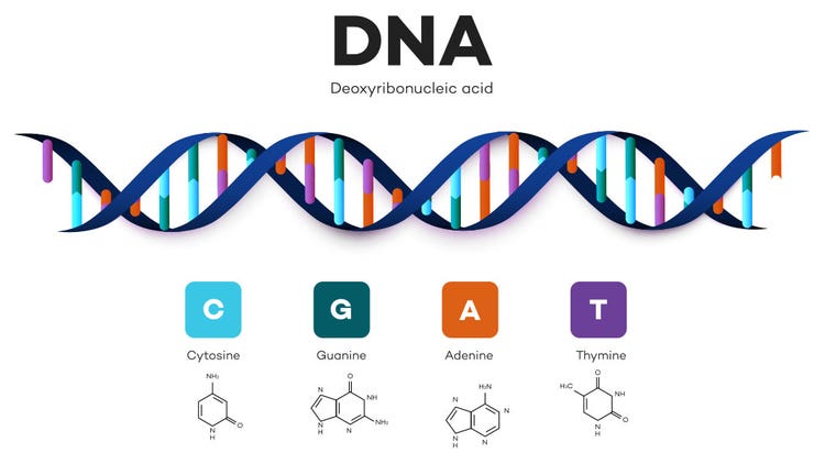 Genomic Sequencing